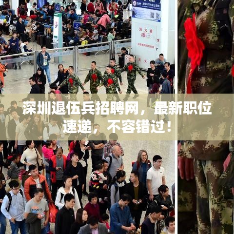 深圳退伍兵招聘网,最新职位速递,不容错过!