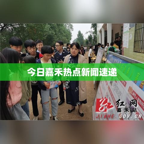 今日嘉禾热点新闻速递