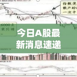 今日A股最新消息速递，股市动态一网打尽