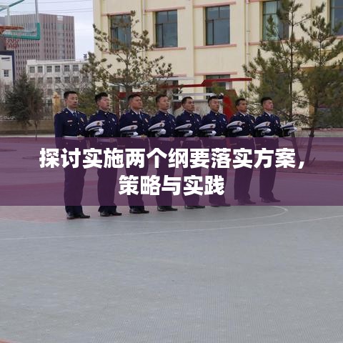 探讨实施两个纲要落实方案，策略与实践