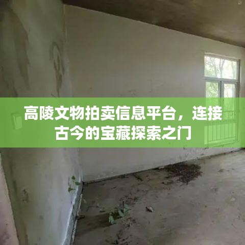 高陵文物拍卖信息平台,连接古今的宝藏探索之门