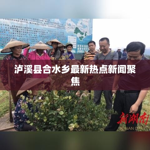 泸溪县合水乡最新热点新闻聚焦