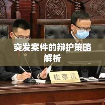 突发案件的辩护策略解析