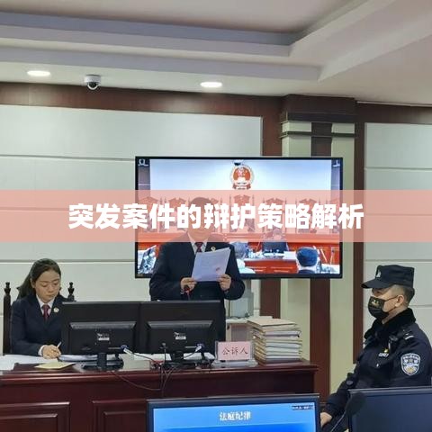 突发案件的辩护策略解析