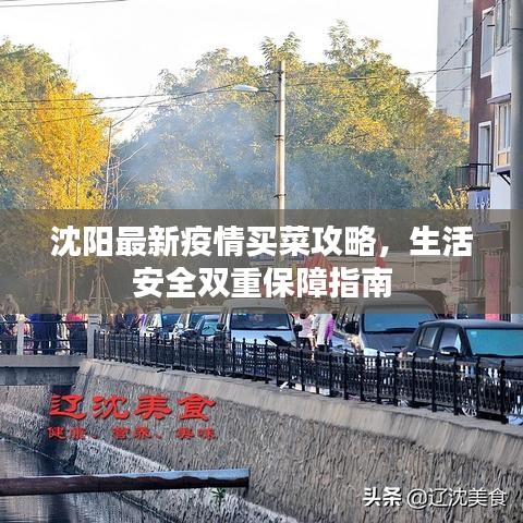 沈阳最新疫情买菜攻略，生活安全双重保障指南