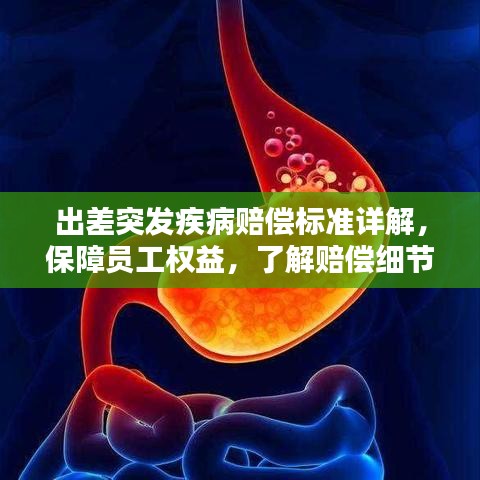 出差突发疾病赔偿标准详解，保障员工权益，了解赔偿细节