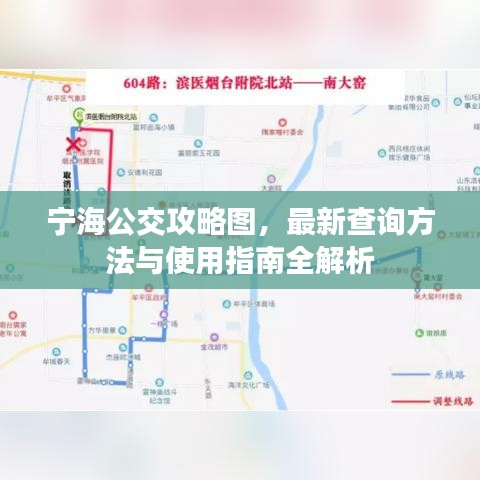 宁海公交攻略图,最新查询方法与使用指南全解析