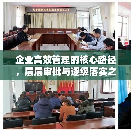 企业高效管理的核心路径,层层审批与逐级落实之道