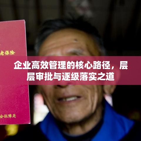企业高效管理的核心路径,层层审批与逐级落实之道