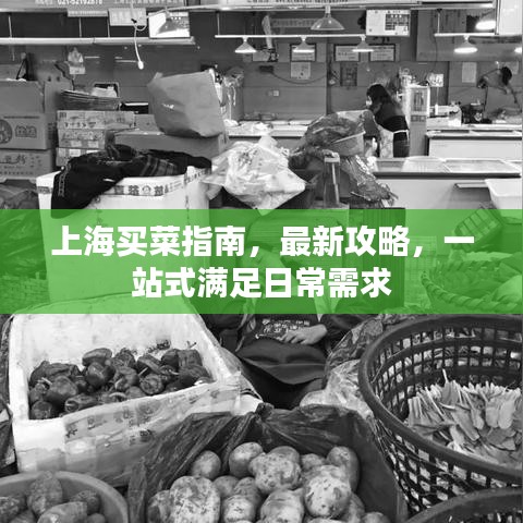 上海买菜指南,最新攻略,一站式满足日常需求