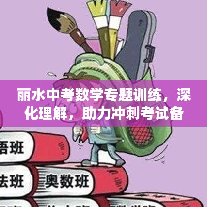 丽水中考数学专题训练,深化理解,助力冲刺考试备战