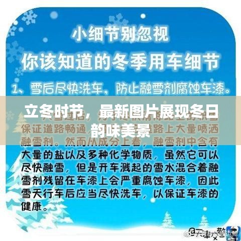 立冬时节,最新图片展现冬日韵味美景