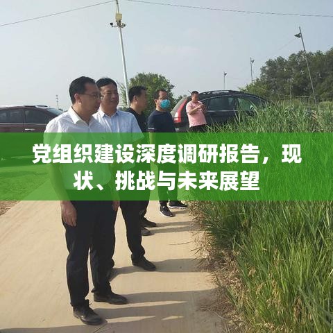 党组织建设深度调研报告，现状、挑战与未来展望