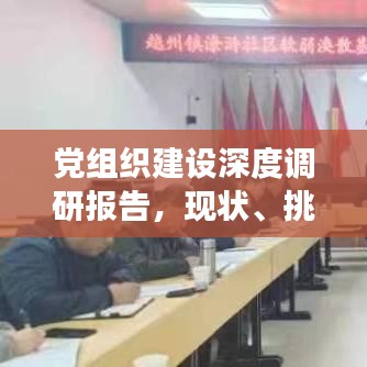 党组织建设深度调研报告,现状、挑战与未来展望