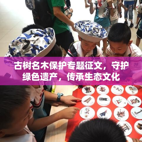 斫琱为朴 第3页