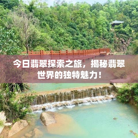 今日翡翠探索之旅,揭秘翡翠世界的独特魅力!