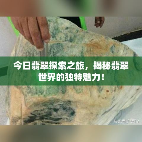 今日翡翠探索之旅,揭秘翡翠世界的独特魅力!