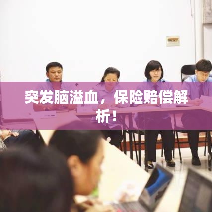 纲举目张 第3页