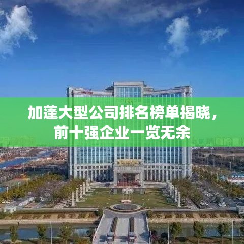 加蓬大型公司排名榜单揭晓,前十强企业一览无余