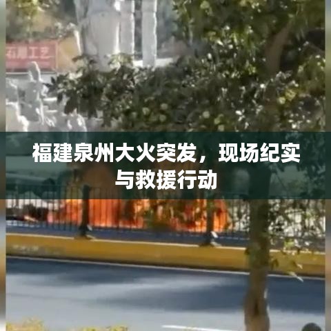 福建泉州大火突发,现场纪实与救援行动
