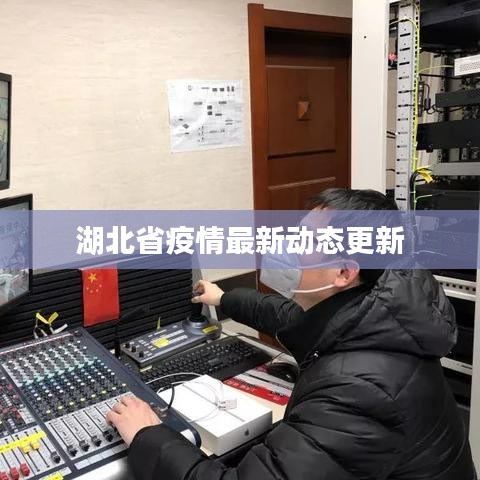 湖北省疫情最新动态更新