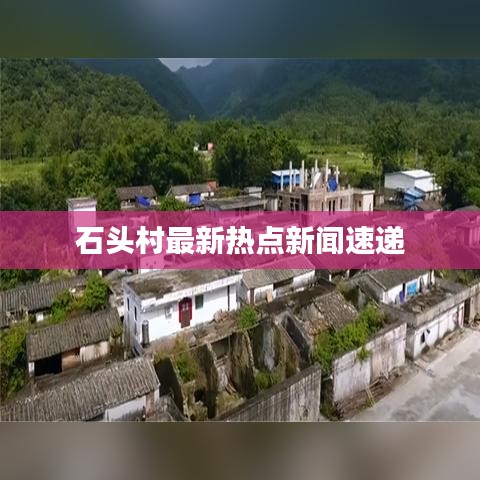 石头村最新热点新闻速递