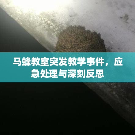 马蜂教室突发教学事件，应急处理与深刻反思