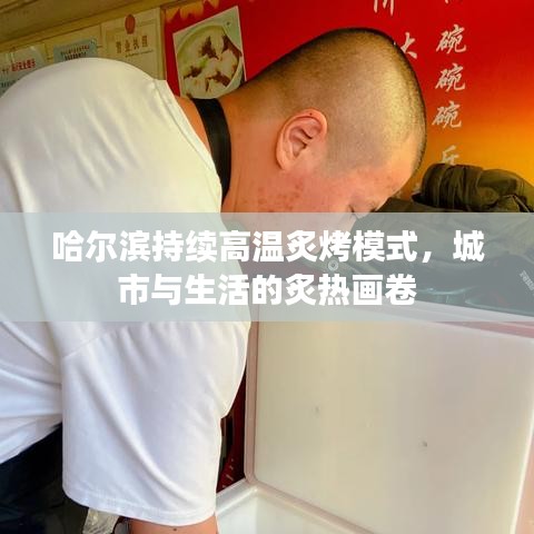 哈尔滨持续高温炙烤模式，城市与生活的炙热画卷