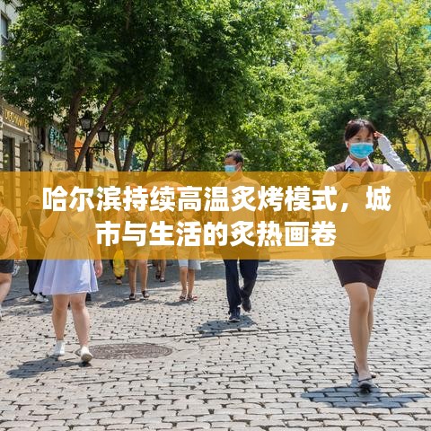 哈尔滨持续高温炙烤模式,城市与生活的炙热画卷