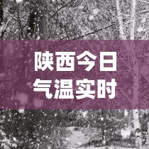 后会难期 第3页