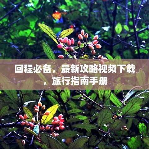 回程必备,最新攻略视频下载,旅行指南手册
