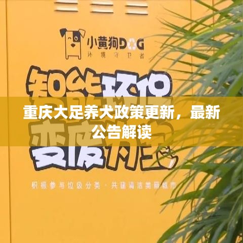 重庆大足养犬政策更新,最新公告解读