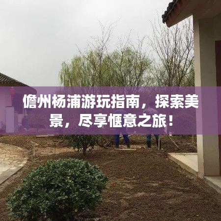 儋州杨浦游玩指南，探索美景，尽享惬意之旅！