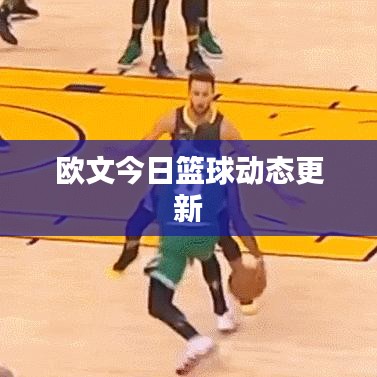 欧文今日篮球动态更新