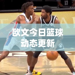 欧文今日篮球动态更新