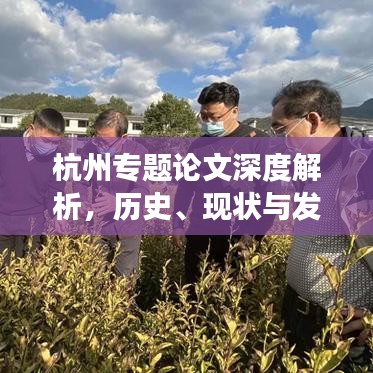 杭州专题论文深度解析,历史、现状与发展战略