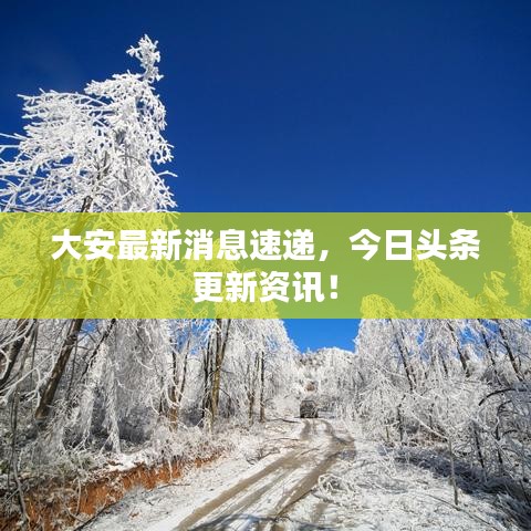 大安最新消息速递，今日头条更新资讯！