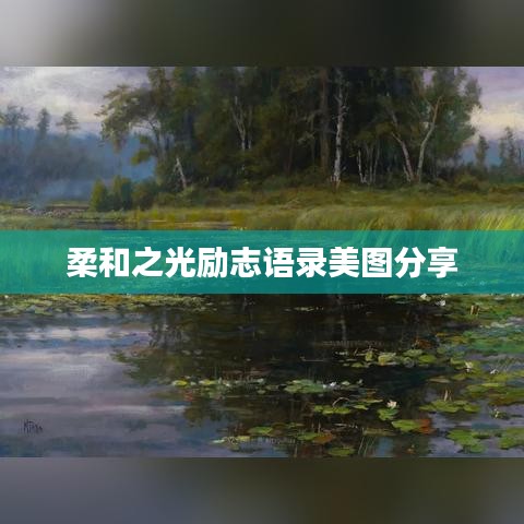 柔和之光励志语录美图分享