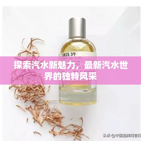 探索汽水新魅力，最新汽水世界的独特风采