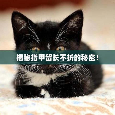 揭秘指甲留长不折的秘密!