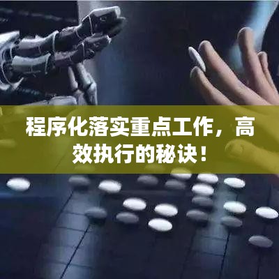 程序化落实重点工作，高效执行的秘诀！