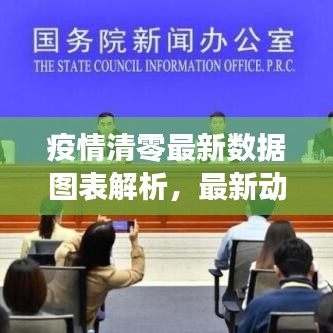 疫情清零最新数据图表解析,最新动态一目了然