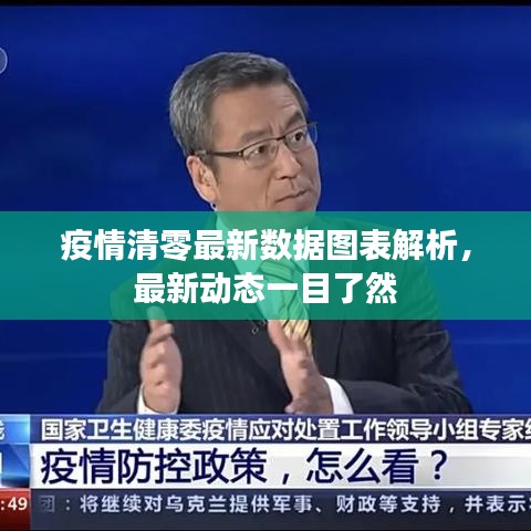 疫情清零最新数据图表解析,最新动态一目了然