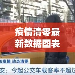 疫情清零最新数据图表解析,最新动态一目了然