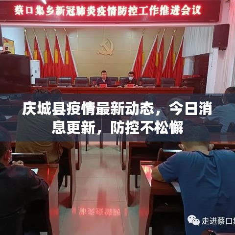 庆城县疫情最新动态，今日消息更新，防控不松懈
