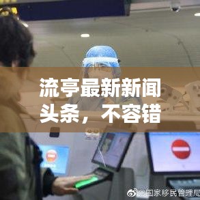 流亭最新新闻头条，不容错过！