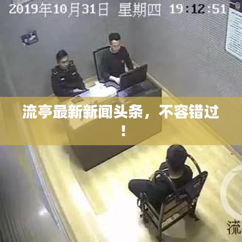 流亭最新新闻头条,不容错过!