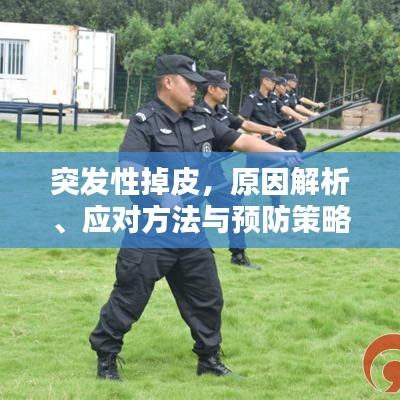 突发性掉皮，原因解析、应对方法与预防策略全攻略！