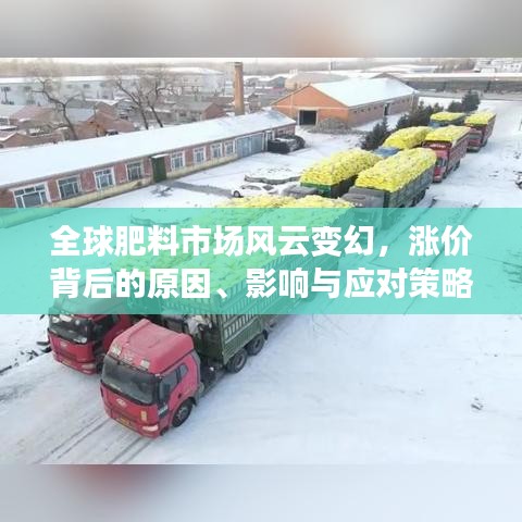 全球肥料市场风云变幻,涨价背后的原因、影响与应对策略解析