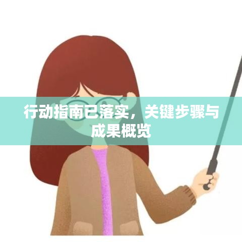 行动指南已落实，关键步骤与成果概览